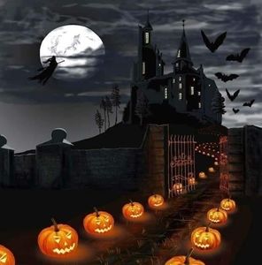 Meet your Posher, Dixie cheyenne